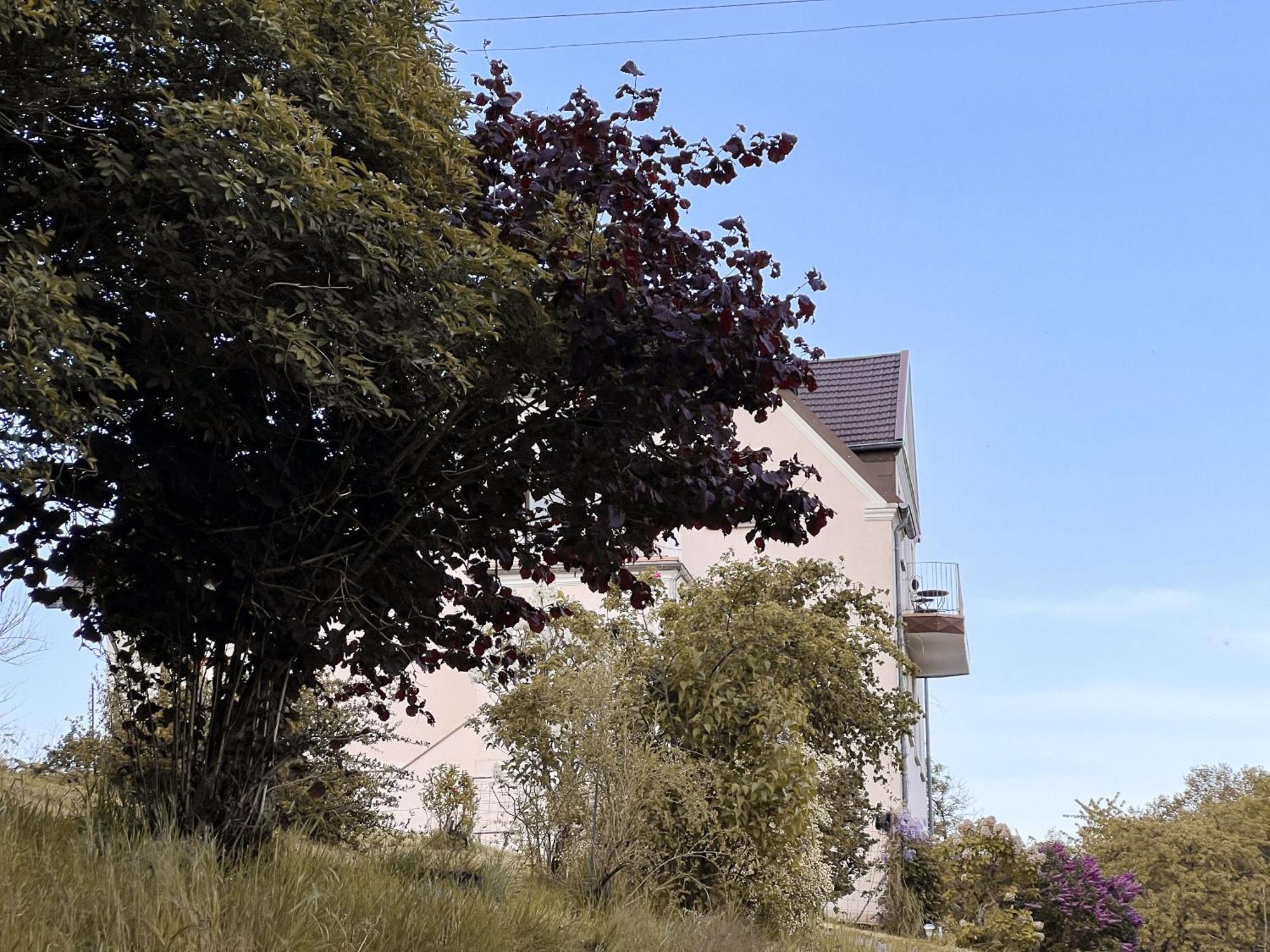 Villa Ueberblick Nalbach Extérieur photo