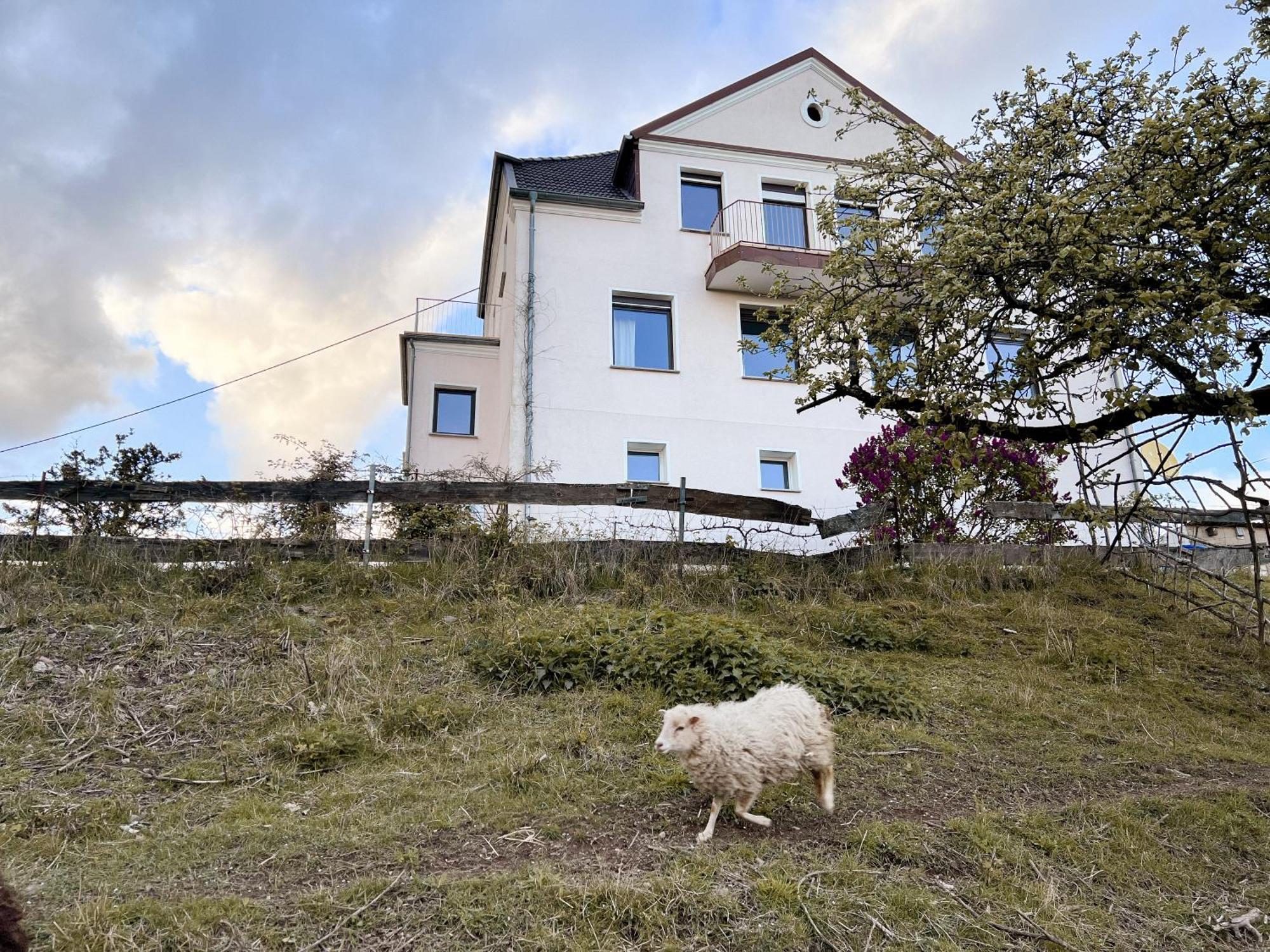 Villa Ueberblick Nalbach Extérieur photo